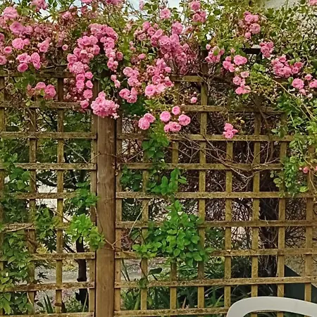 Casa vacanze Rose Kilrean
