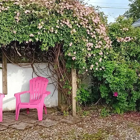 Rose Casa vacanze